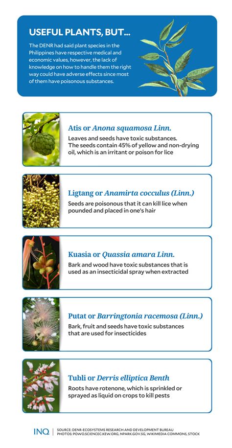Nat’l Poison Prevention Week: Know your toxic plants, their uses.